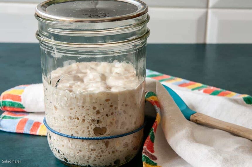how to make sourdough starter recipe​